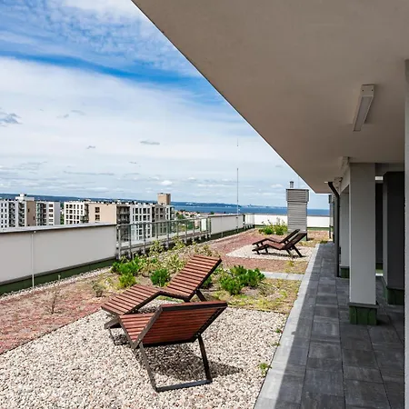 Starowiejska Comfort *